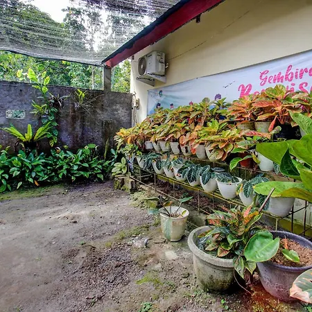 Oyo 92619 Inn Homestay